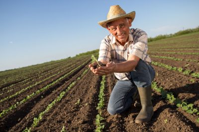 Agriculteur dans son champs Agriculteur dans son champs